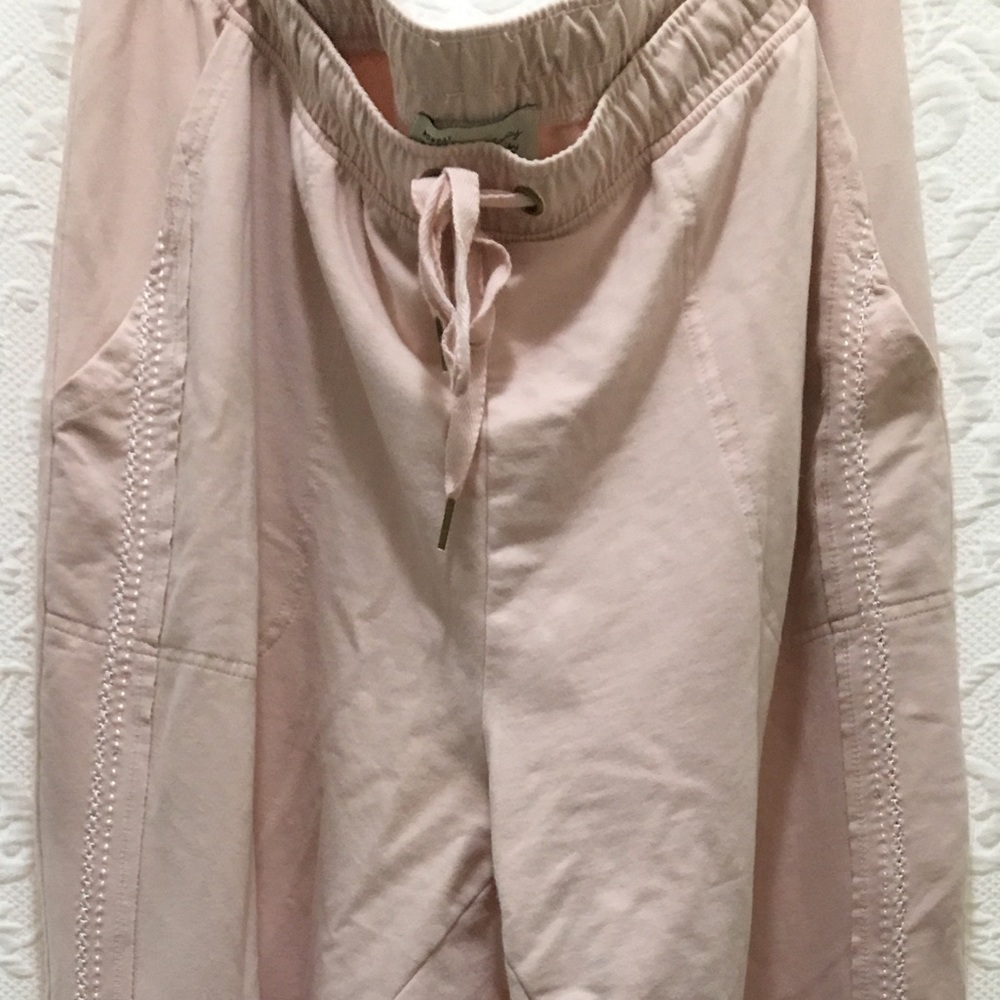 Anthropologie Saturday Sunday pink pants - size XL